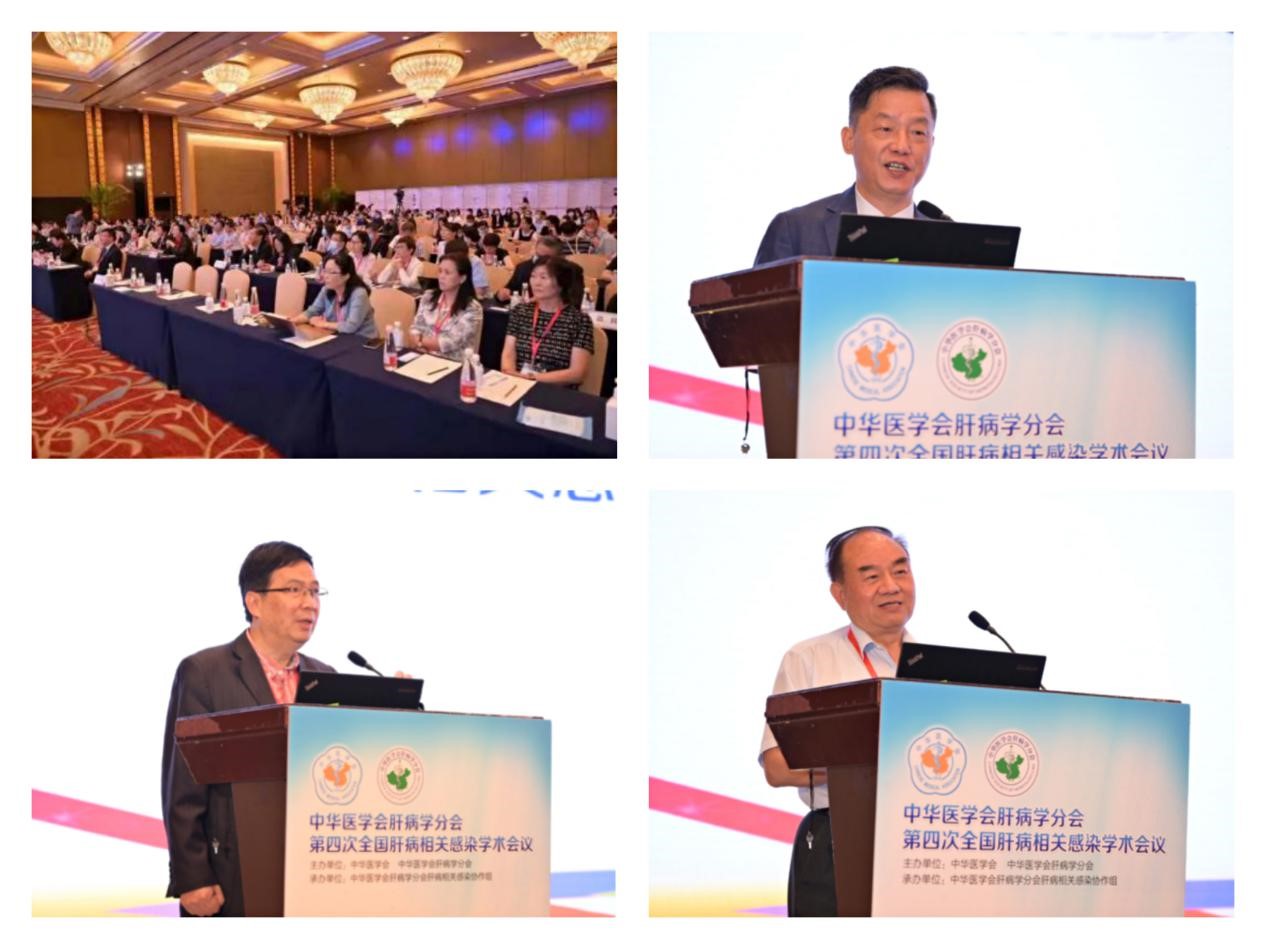 聚焦学术前沿，共迎肝病防治新征程！rb88随行版股份以学术助力中医药发展