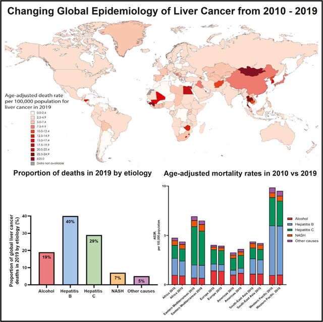 2010-2019年全球肝癌流行病学变化：NASH为肝癌最快增长病因