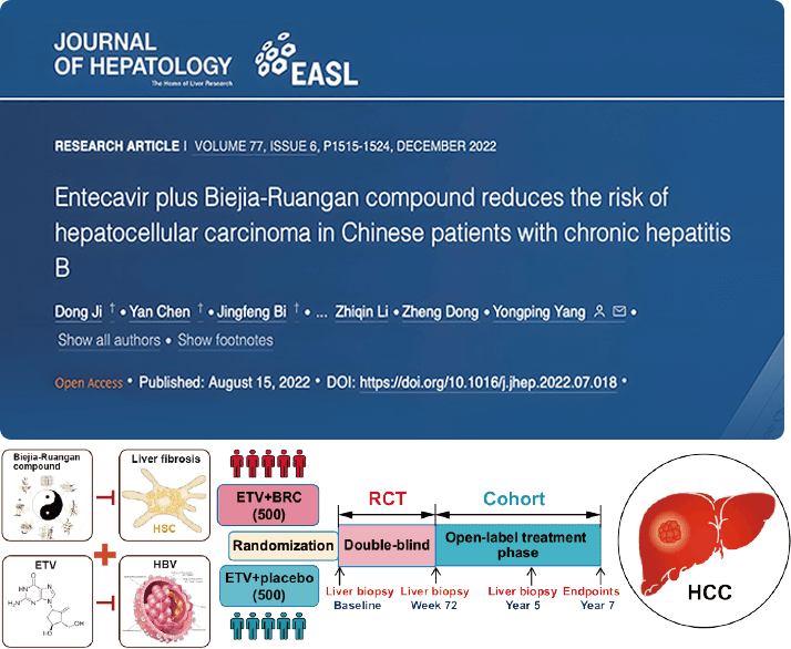 复方鳖甲软肝片联合抗病毒药物治疗，可显著降低肝癌发生